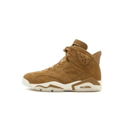 Air Jordan 6- Wheat