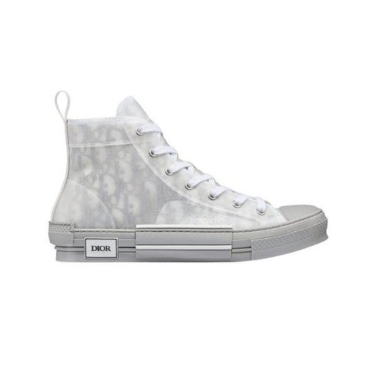 dior-oblique-b23-relflective-grey